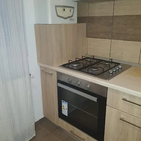Garsoniera Privat Paunoiu