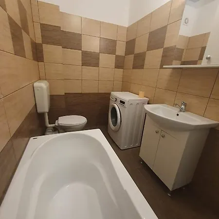 Lägenhet Garsoniera Privat Paunoiu *